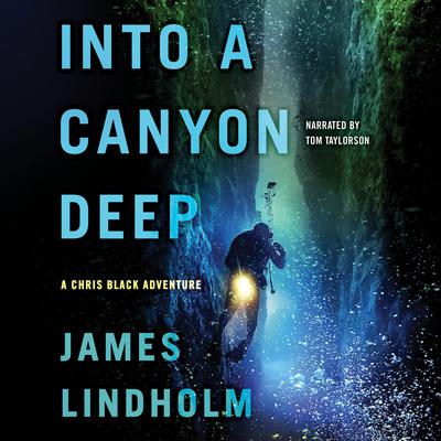 Into a Canyon Deep by James Lindholm audiobook
