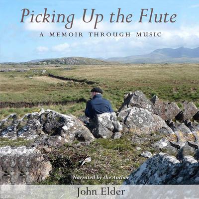 Picking Up the Flute by John Elder audiobook