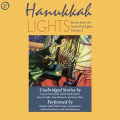 Hannukah Lights by Daniel Mark Epstein audiobook