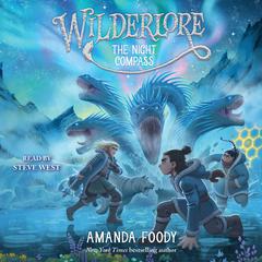 The Night Compass by Amanda Foody audiobook