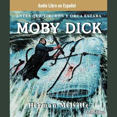 Moby Dick by Herman Melville audiobook