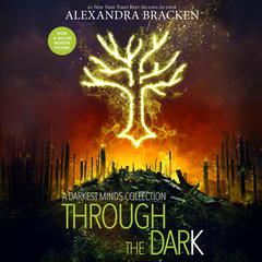 Through the Dark by Alexandra Bracken audiobook