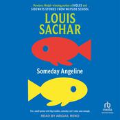 Someday Angeline by  Louis Sachar audiobook