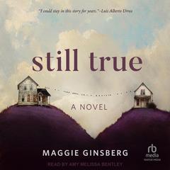 Still True by Maggie Ginsberg audiobook