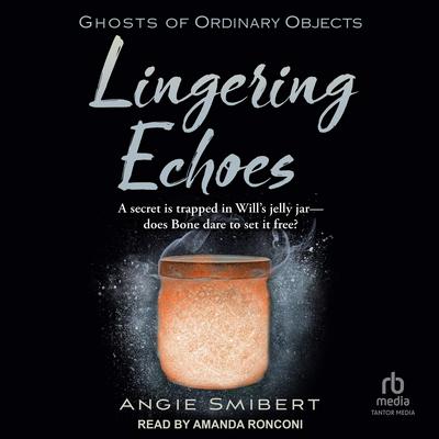 Lingering Echoes by Angie Smibert audiobook