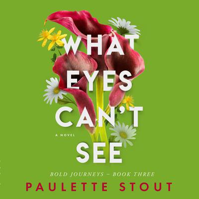 What Eyes Can't See by Paulette Stout audiobook