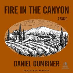 Fire in the Canyon by Daniel Gumbiner audiobook