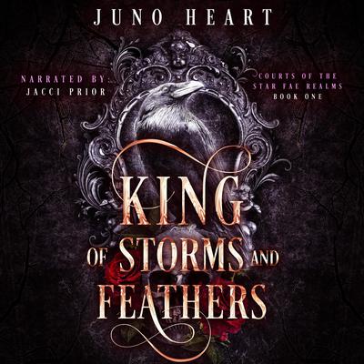 King of Storms and Feathers by Juno Heart audiobook