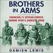Brothers in Arms by  Damien Lewis audiobook