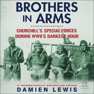 Brothers in Arms by Damien Lewis audiobook