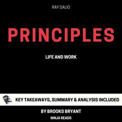 Summary: Principles by Brooks Bryant audiobook