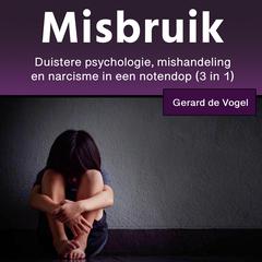 Misbruik by Gerard de Vogel audiobook