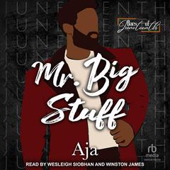 Mr. Big Stuff by Aja  audiobook