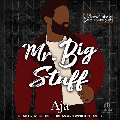 Mr. Big Stuff by Aja  audiobook
