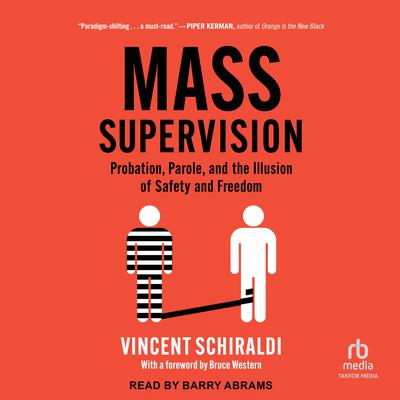 Mass Supervision by Vincent Schiraldi audiobook
