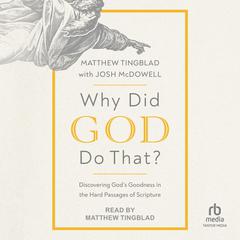 Why Did God Do That? by Matthew Tingblad audiobook