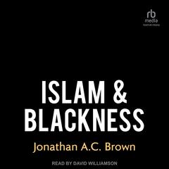 Islam & Blackness by Jonathan A. C. Brown audiobook
