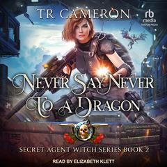 Never Say Never to a Dragon by TR Cameron audiobook