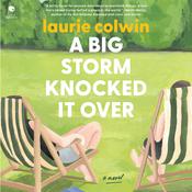 A Big Storm Knocked It Over by  Laurie Colwin audiobook