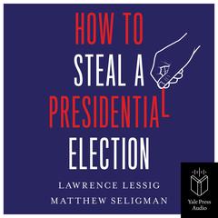 How to Steal a Presidential Election by Lawrence Lessig audiobook