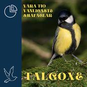 Talgoxe by  L1 audiobook