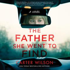 The Father She Went to Find by Carter Wilson audiobook
