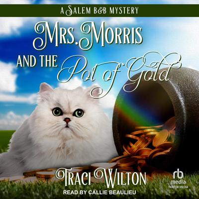 Mrs. Morris and the Pot of Gold by Traci Wilton audiobook