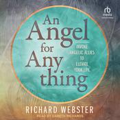 An Angel for Anything by  Richard Webster audiobook