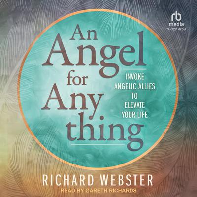 An Angel for Anything by Richard Webster audiobook