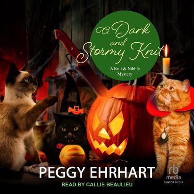 A Dark and Stormy Knit by Peggy Ehrhart audiobook