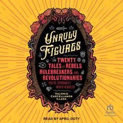 Unruly Figures by Valorie Castellanos Clark audiobook