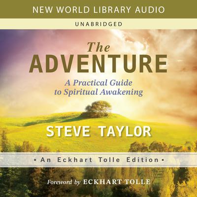 The Adventure by Steve Taylor audiobook