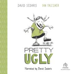 Pretty Ugly by David Sedaris audiobook