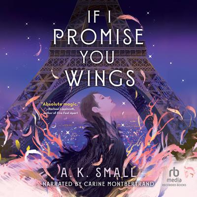 If I Promise You Wings by A. K. Small audiobook