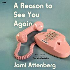 A Reason to See You Again by Jami Attenberg audiobook