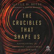 The Crucibles That Shape Us by  Gayle D. Beebe audiobook
