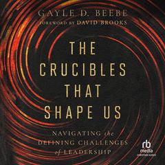 The Crucibles That Shape Us by Gayle D. Beebe audiobook