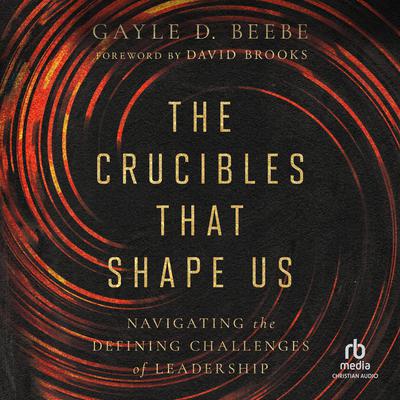 The Crucibles That Shape Us by Gayle D. Beebe audiobook