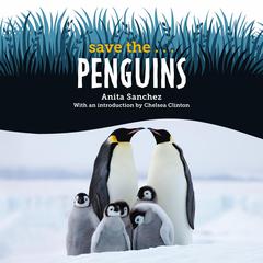Save the... Penguins by Chelsea Clinton audiobook
