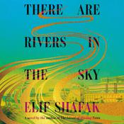 There Are Rivers in the Sky by  Elif Shafak audiobook