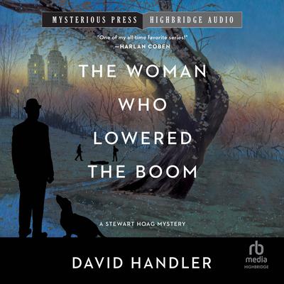 The Woman Who Lowered the Boom by David Handler audiobook