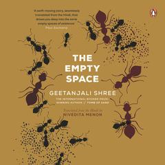 The Empty Space by Geetanjali Shree audiobook