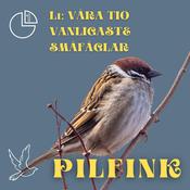 Pilfink by  L1 audiobook