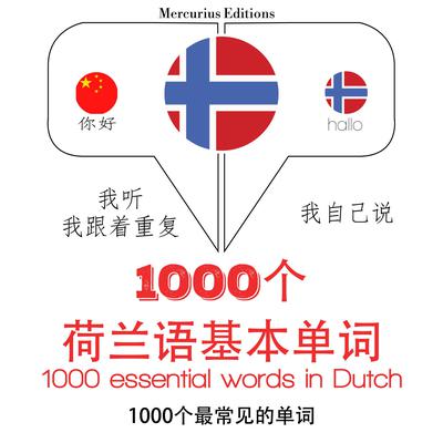 在荷兰的1000个基本词汇 by J. M. Gardner audiobook