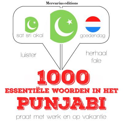 1000 essentiële woorden in het Punjabi by J. M. Gardner audiobook