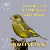 Grönfink by  L1 audiobook