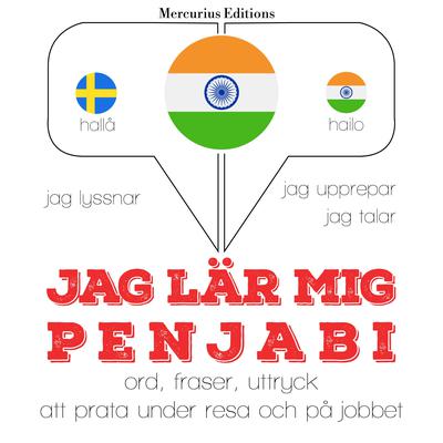 Jag undervisar penjabi by J. M. Gardner audiobook