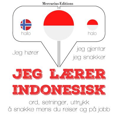 Jeg lærer indonesisk by J. M. Gardner audiobook