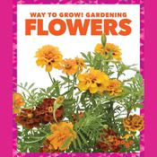 Flowers by  Rebecca Pettiford audiobook
