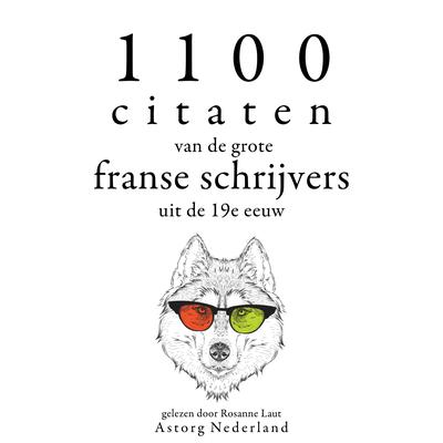 1100 citaten van de grote Franse schrijvers uit de 19e eeuw by Multiple Authors audiobook